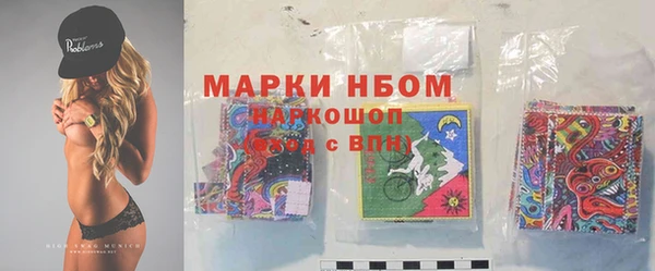 сатива Каменногорск