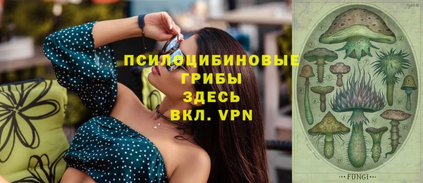 прущие грибы Арсеньев