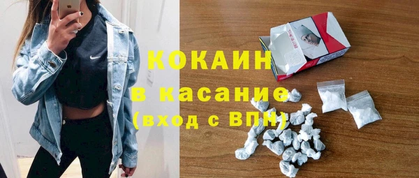 индика Баксан