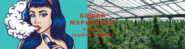 прущие грибы Арсеньев